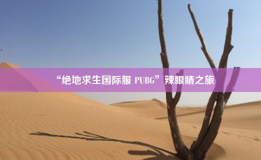 “绝地求生国际服 PUBG”辣眼睛之旅