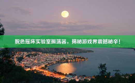 脱色摇床实验室振荡器，揭秘游戏界震撼秘辛！