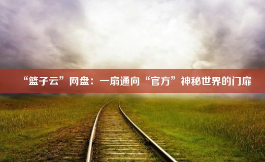 “篮子云”网盘：一扇通向“官方”神秘世界的门扉