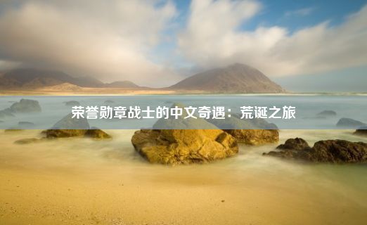 荣誉勋章战士的中文奇遇：荒诞之旅