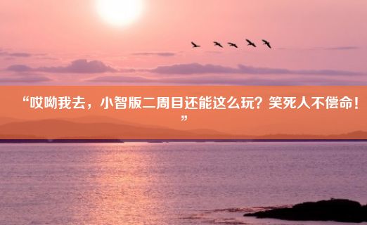 “哎呦我去，小智版二周目还能这么玩？笑死人不偿命！”