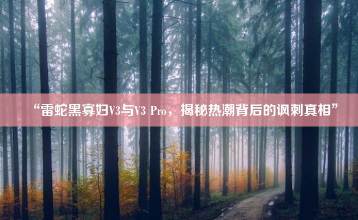 “雷蛇黑寡妇V3与V3 Pro，揭秘热潮背后的讽刺真相”