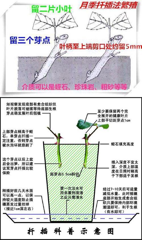 《72欧式插法修炼记：笑掉大牙的注意事项》