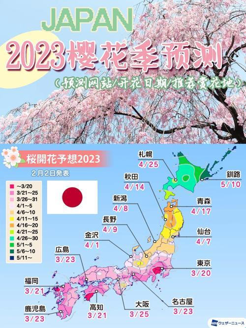 “2023，樱花官网的玄机与极限诡辩”