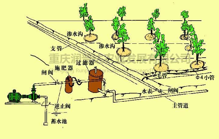 “JY灌溉宝库，顾清掀起行业笑谈录”