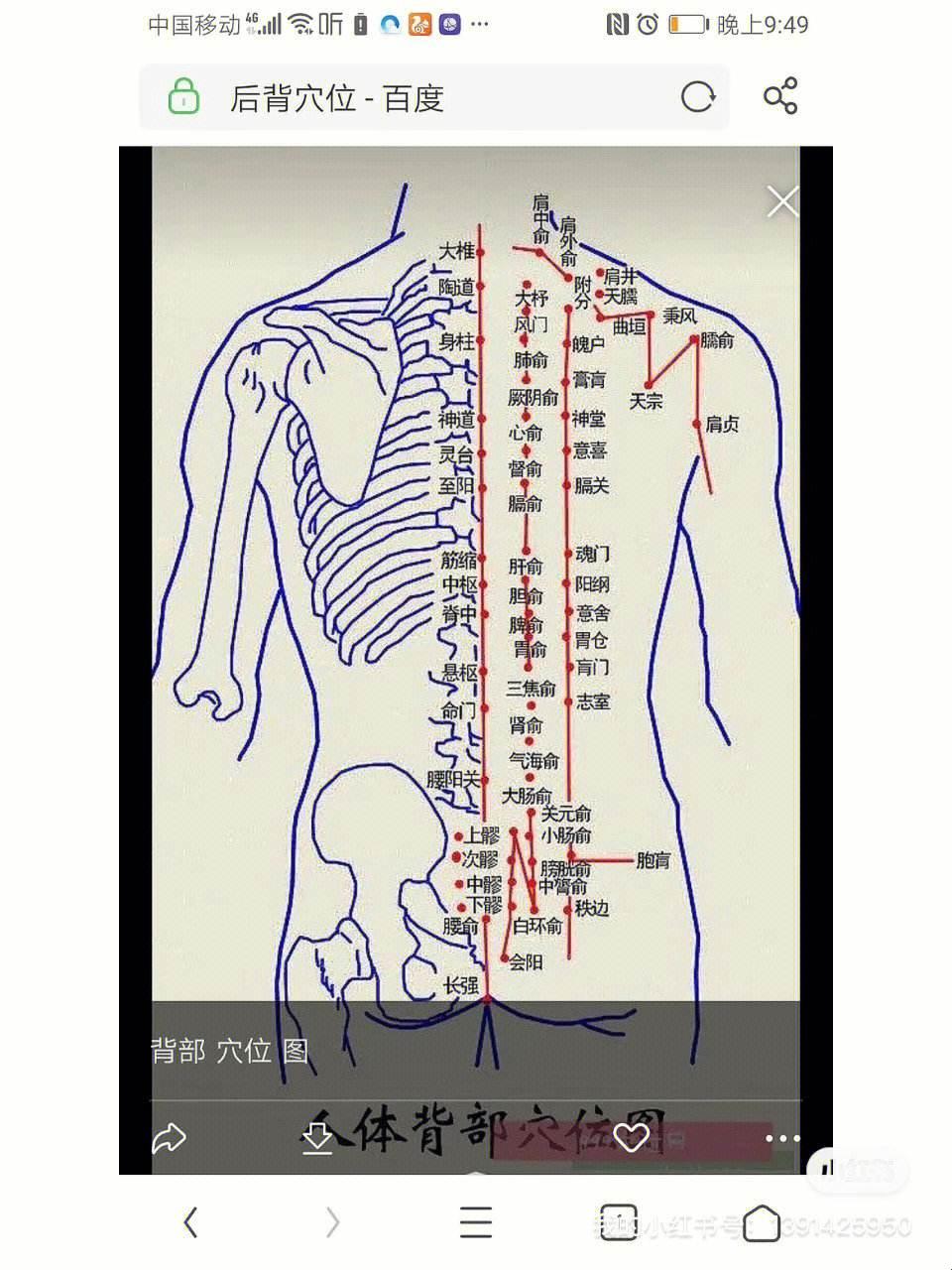 《游戏界的奇葩说：2蟆不适吾意是什么鬼？》