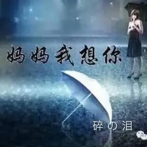 雨伞妈妈的悲剧：刀光剑影下的无辜