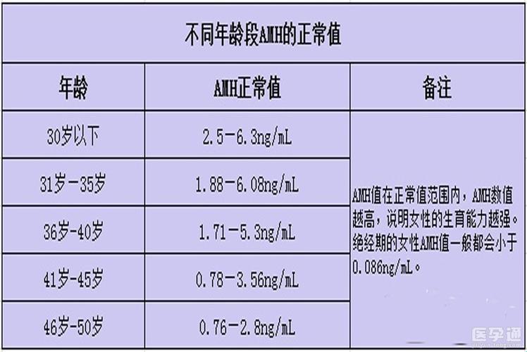 差岁游戏，玩转全球：探秘scHHH现象