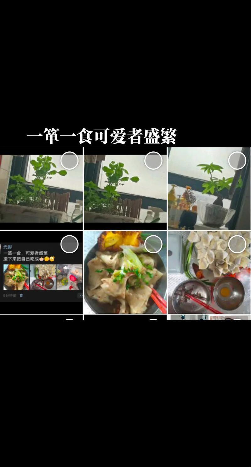 《糖果vlog的寂寞狂欢，谁解其中味？》