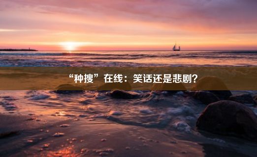 “种搜”在线：笑话还是悲剧？