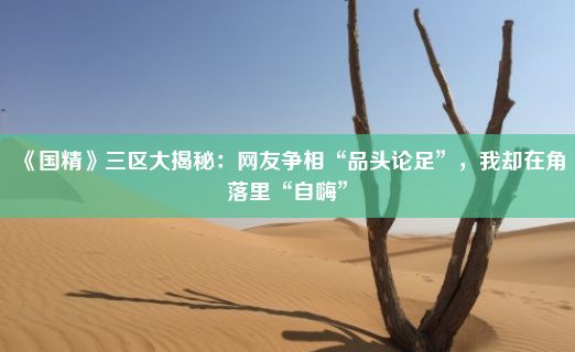 《国精》三区大揭秘：网友争相“品头论足”，我却在角落里“自嗨”