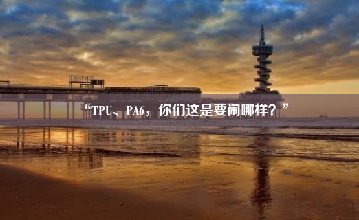 “TPU、PA6，你们这是要闹哪样？”