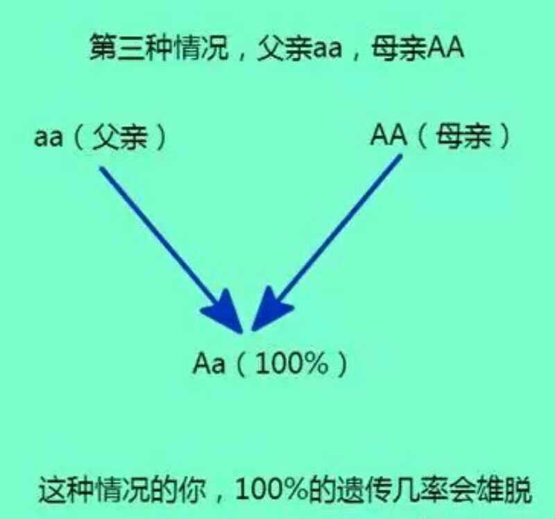 《遗传学大冒险：AA与aa的奇葩组合，潮流还是逆流？》