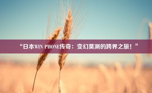 “日本WIN PHONE传奇：变幻莫测的跨界之旅！”