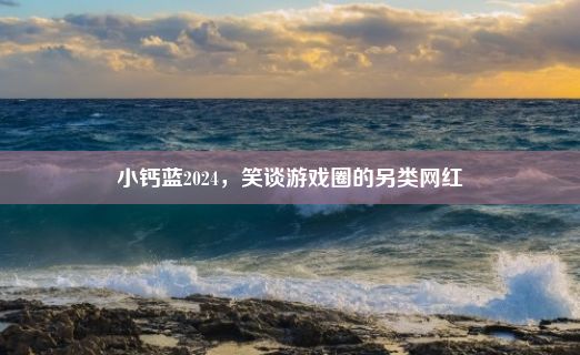 小钙蓝2024，笑谈游戏圈的另类网红