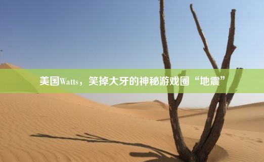 美国Watts，笑掉大牙的神秘游戏圈“地震”