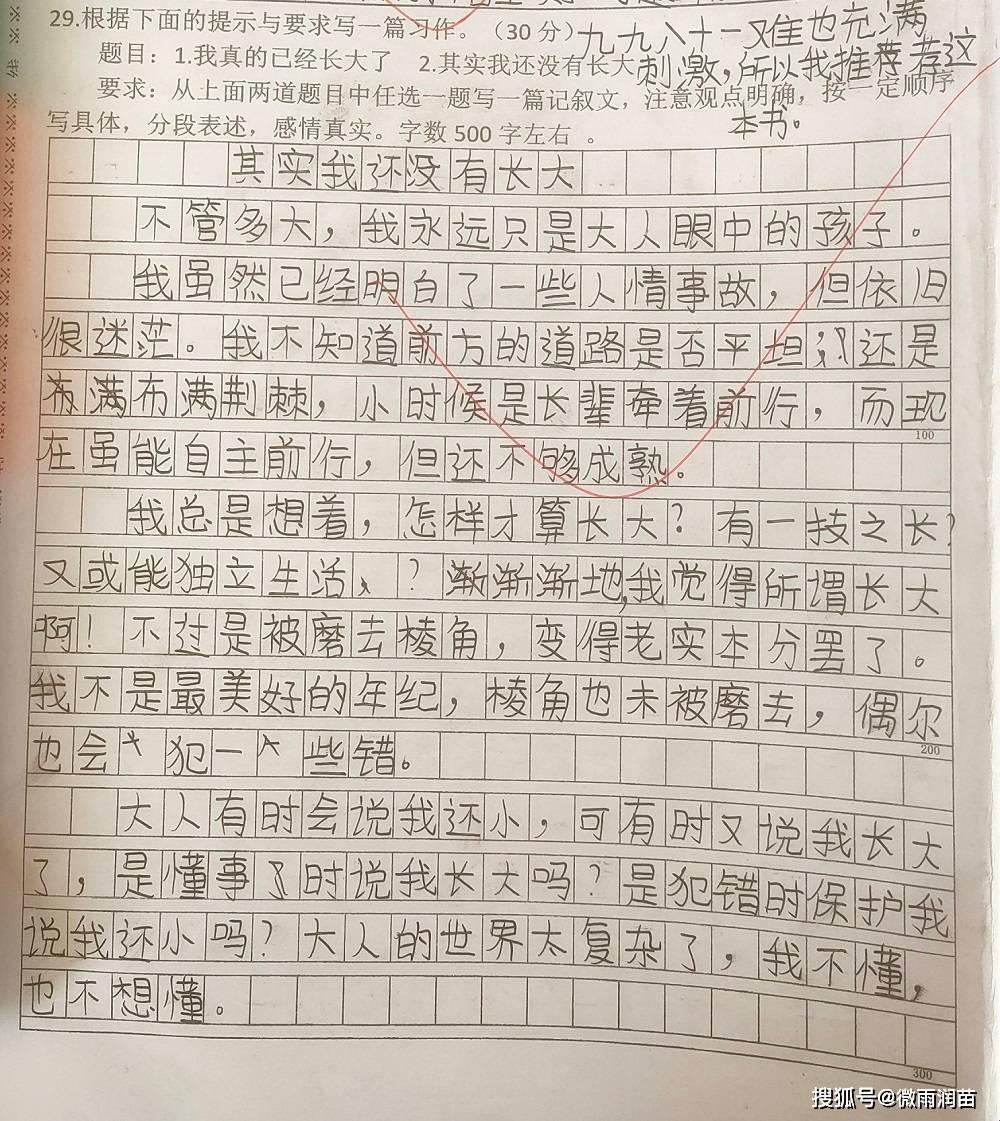 长大认证大挑战：叔叔眼里的游戏人生